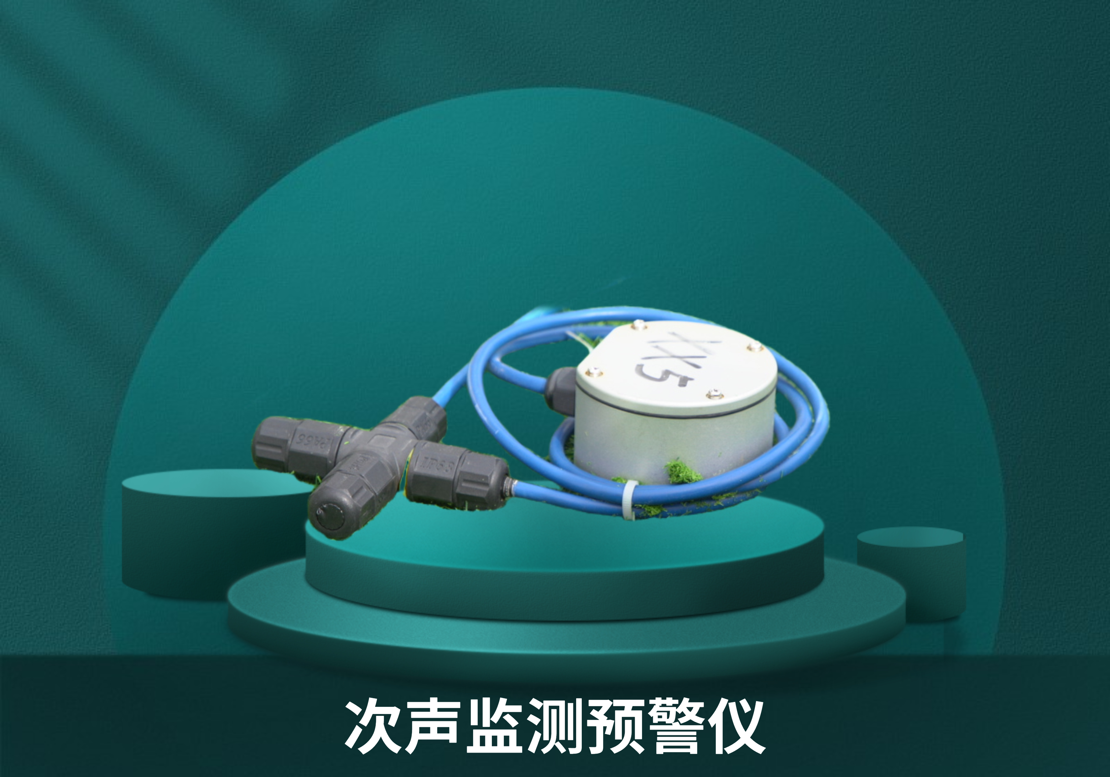 神经感知网